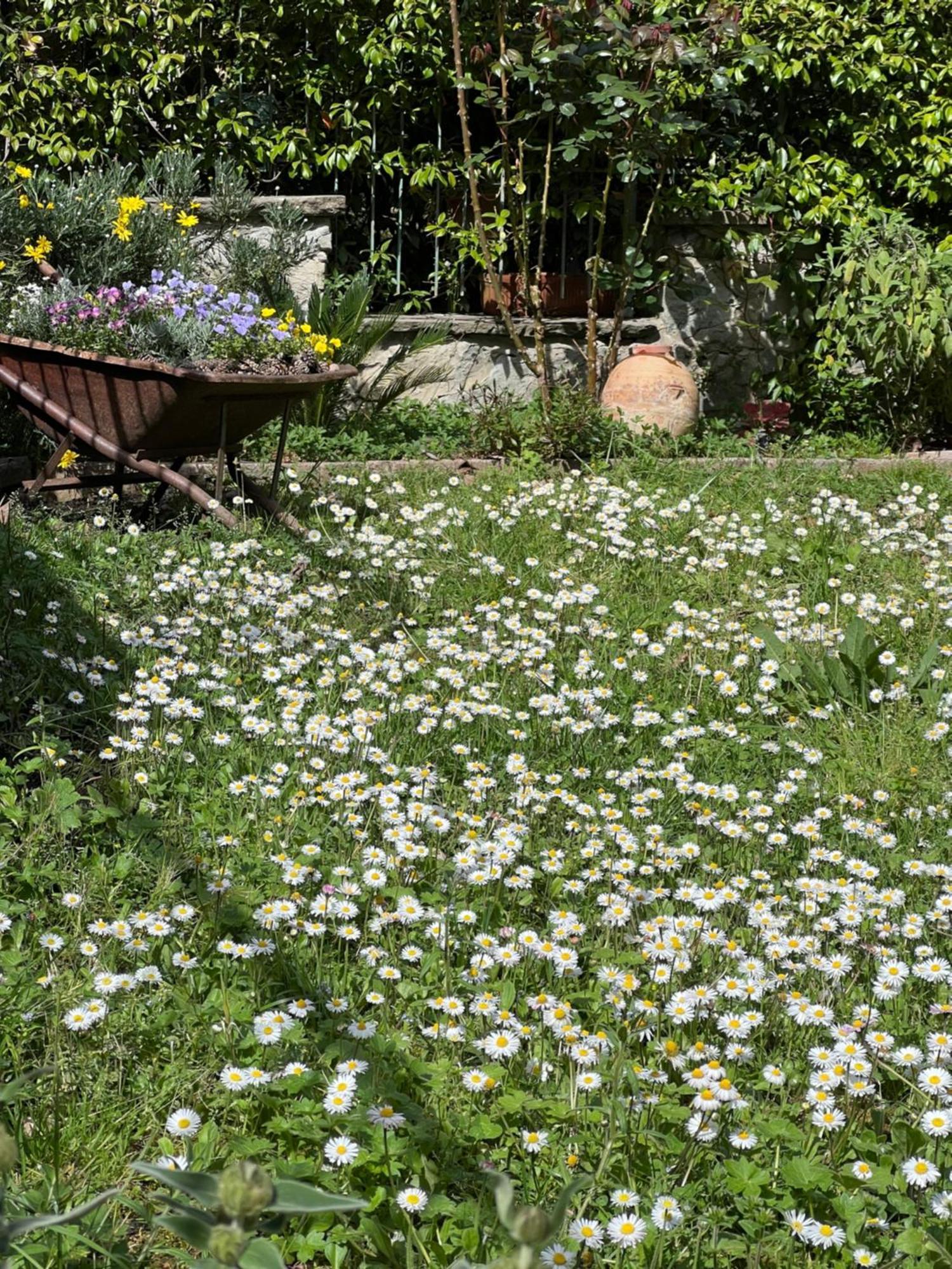 La Serra Sognante, Un Rifugio Incantevole Tra Natura E Relax Florens Exteriör bild